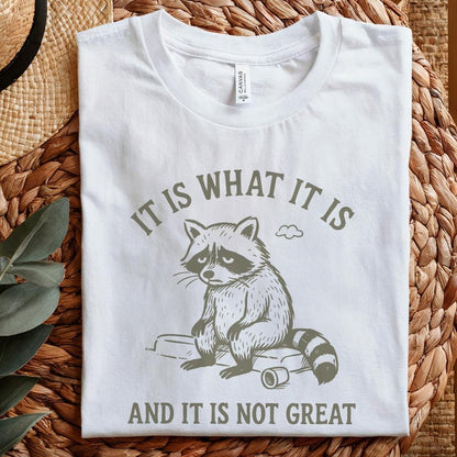 It Is What It Is And It Is Not Great PNG, Sad Raccoon Shirt - 300 DPI