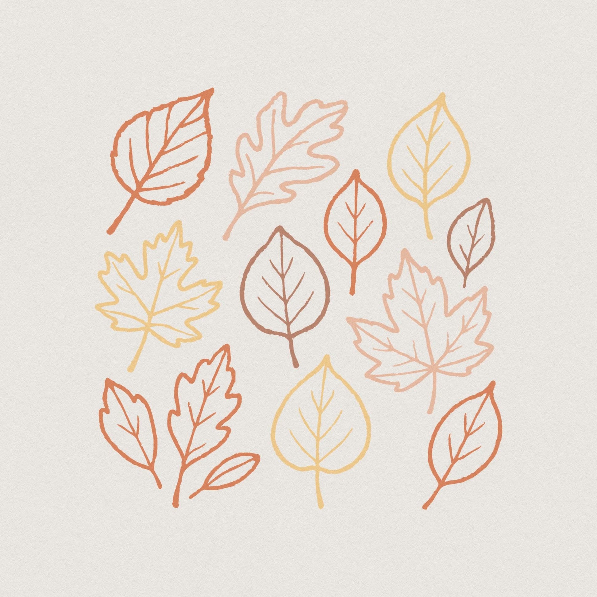 Autumn Leaves PNG, Fall Leaves PNG - 300 DPI Design for T-Shirt