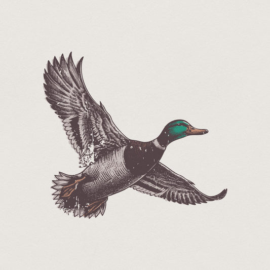 Mallard Duck PNG, Wild Duck Clipart - 300 DPI Design for T-Shirt