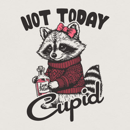 Not Today Cupid Funny Raccoon PNG, Valentine's Day Sublimation Design -