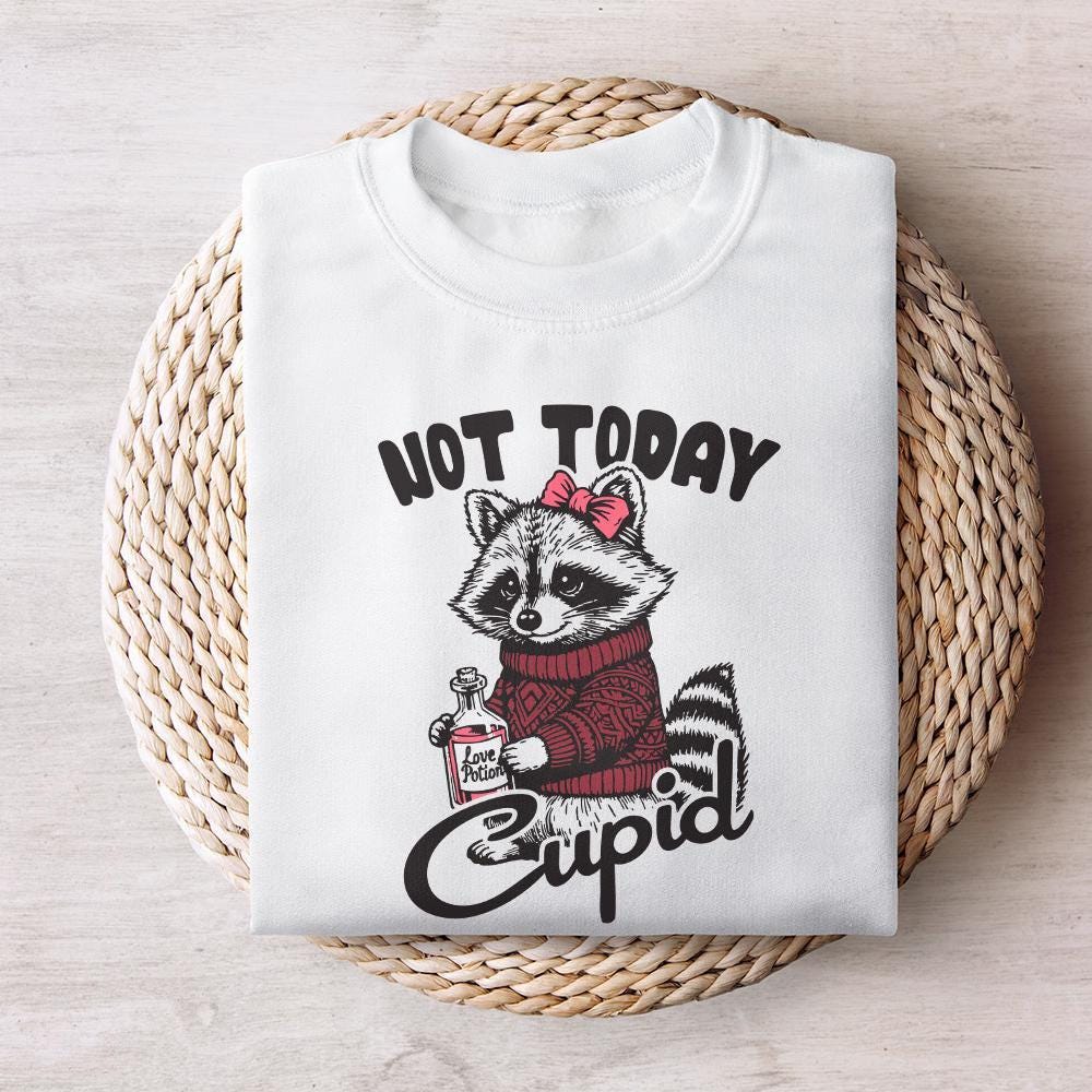 Not Today Cupid Funny Raccoon PNG, Valentine's Day Sublimation Design -