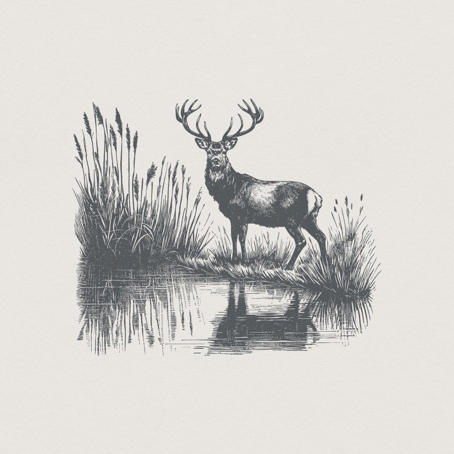 Deer PNG Design, Hunting PNG - 300 DPI Design for T-Shirt