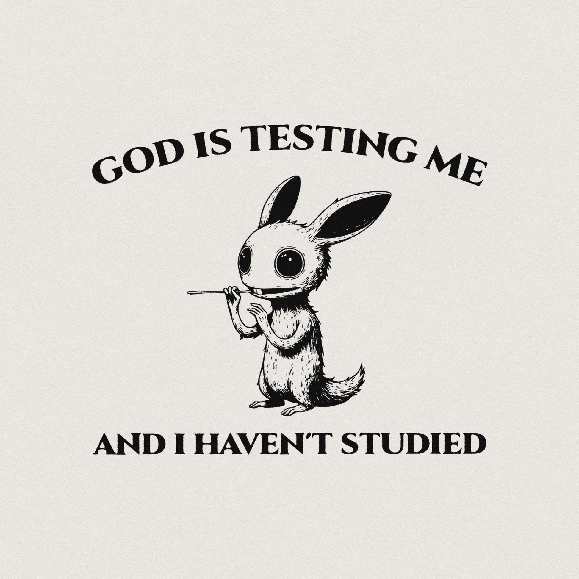 God Is Testing Me And I Have Not Studied PNG png, Sarcastic rabbit Png -