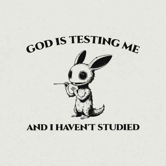 God Is Testing Me And I Have Not Studied PNG png, Sarcastic rabbit Png -