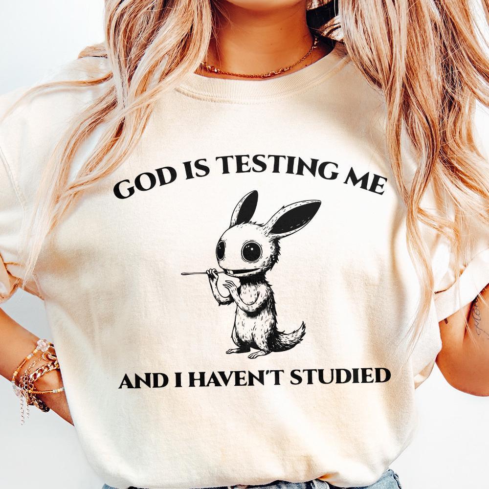 God Is Testing Me And I Have Not Studied PNG png, Sarcastic rabbit Png -