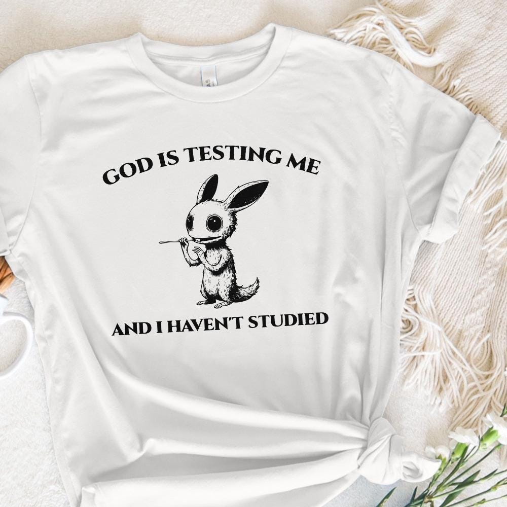 God Is Testing Me And I Have Not Studied PNG png, Sarcastic rabbit Png -