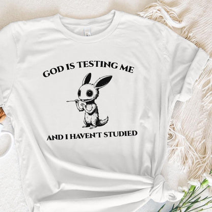 God Is Testing Me And I Have Not Studied PNG png, Sarcastic rabbit Png -