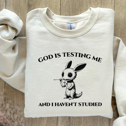 God Is Testing Me And I Have Not Studied PNG png, Sarcastic rabbit Png -