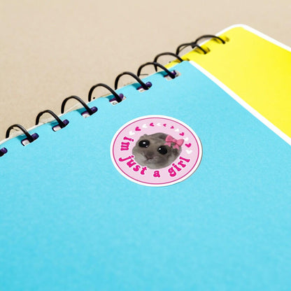 Funny Hamster TikTok Meme Bundle for Car Decals PNG - Cute New Driver