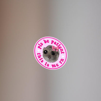 Funny Hamster TikTok Meme Bundle for Car Decals PNG - Cute New Driver