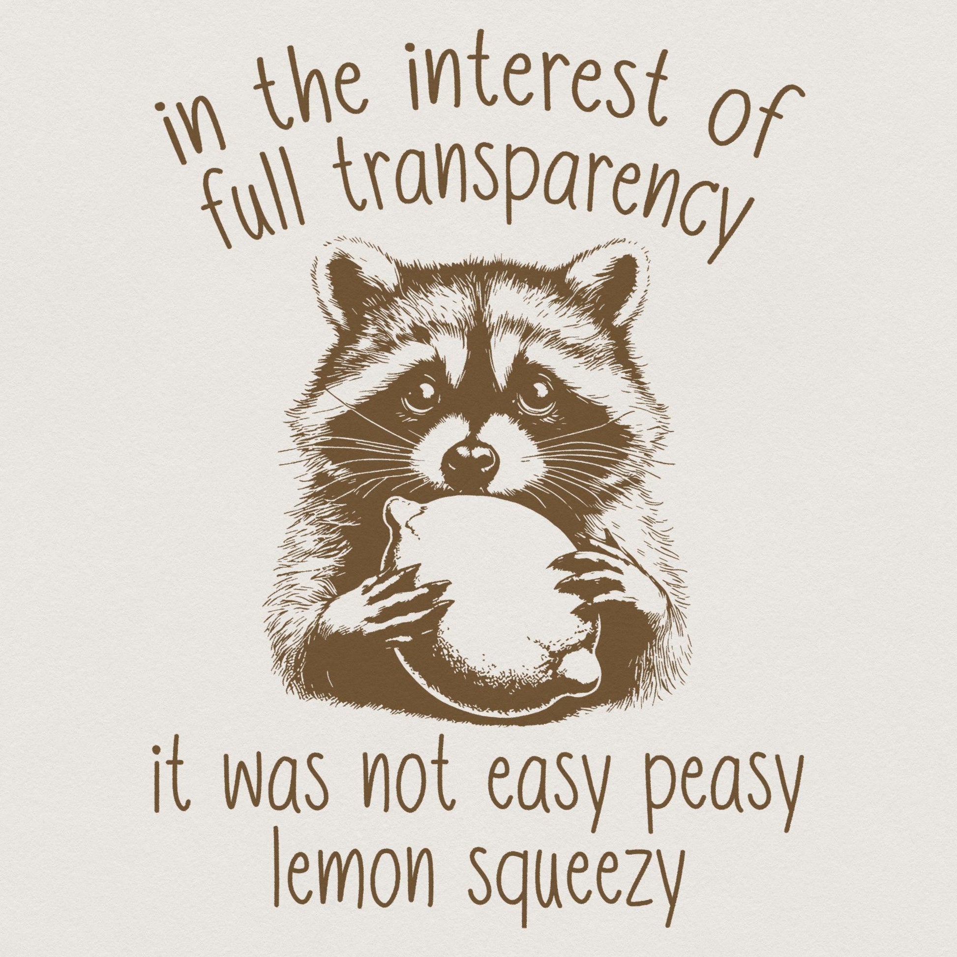 In The Interest of Full Transparency Racoon PNG, Trash Panda png - 300