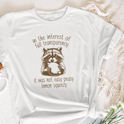 In The Interest of Full Transparency Racoon PNG, Trash Panda png - 300