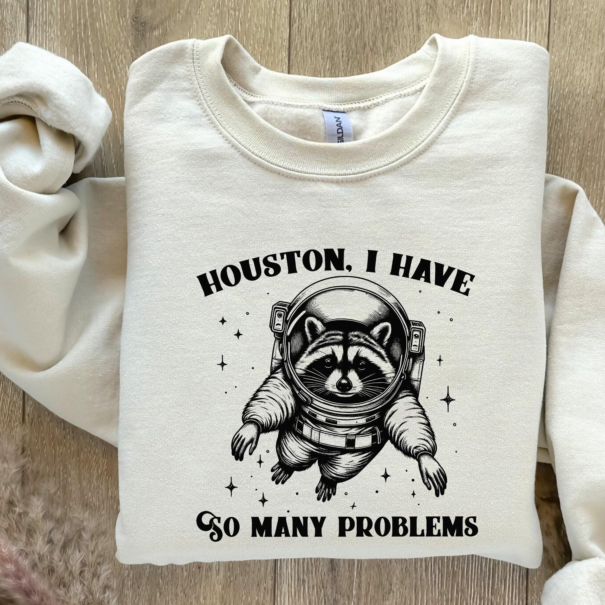Houston I Have So Many Problems PNG, Funny Raccoon in Space - 300 DPI