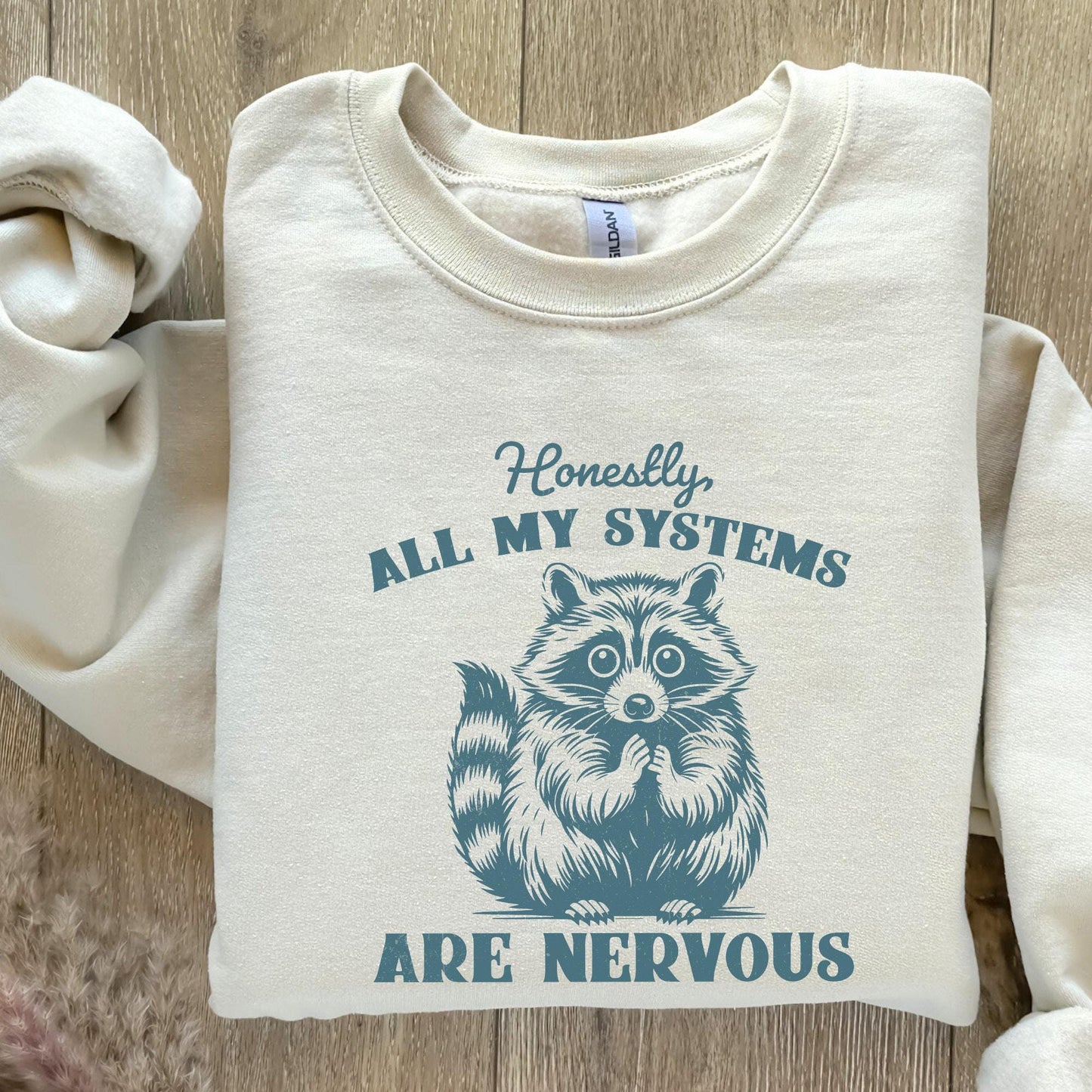 Honestly All My Systems Are Nervous PNG, Retro 90s Sarcastic Raccoon -