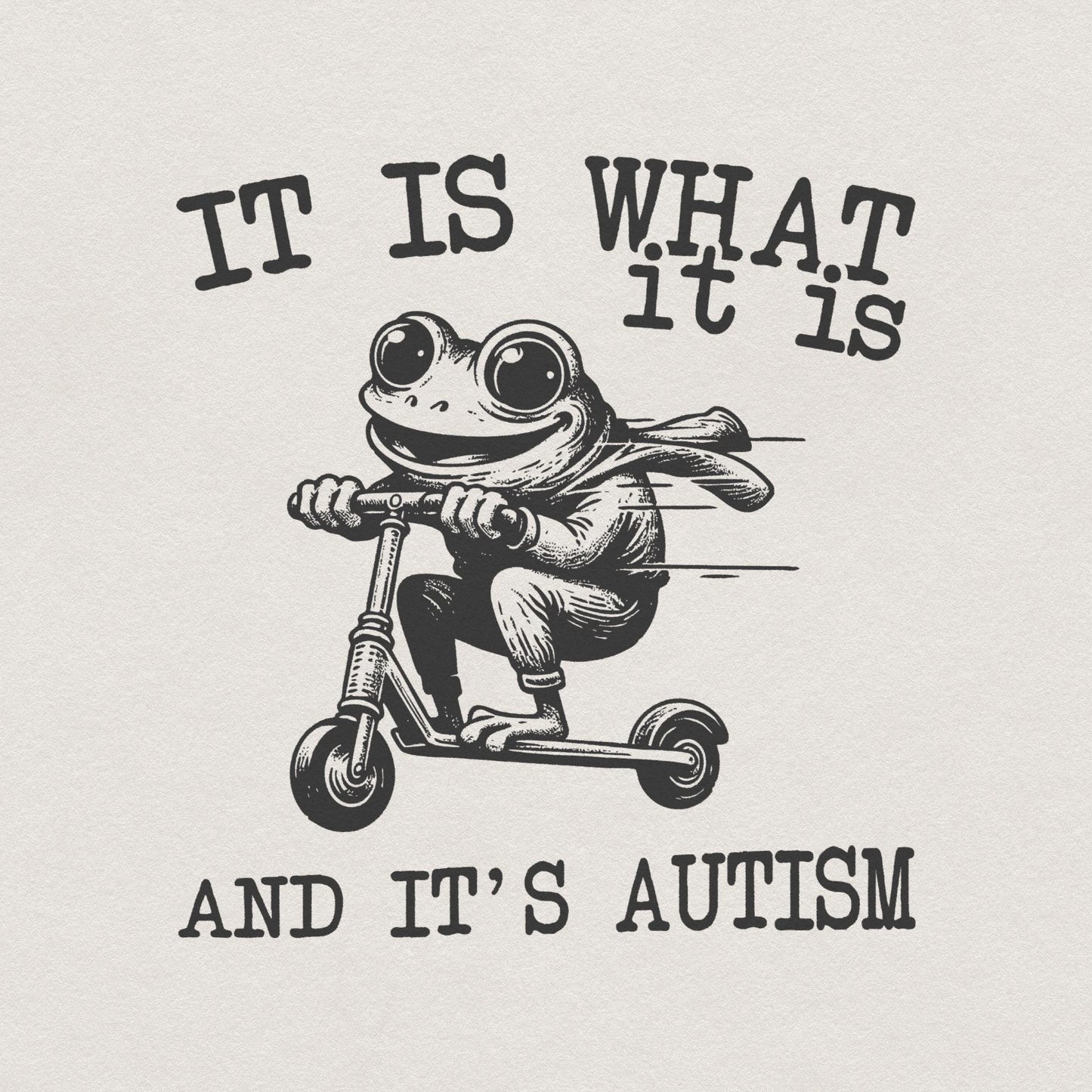 It Is What It Is And It Is Autism PNG, Funny Raccoon Meme - 300 DPI