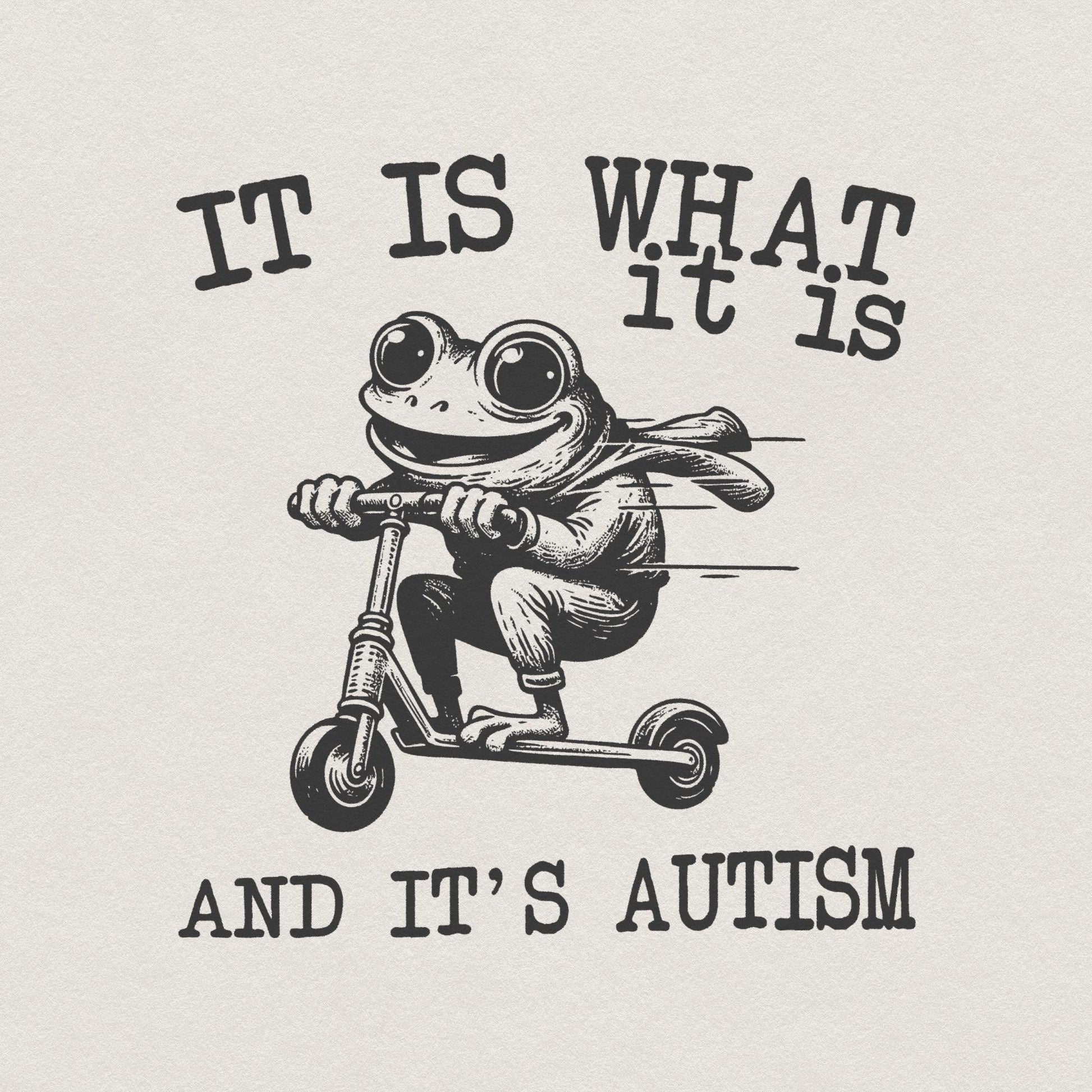 It Is What It Is And It Is Autism PNG, Funny Raccoon Meme - 300 DPI