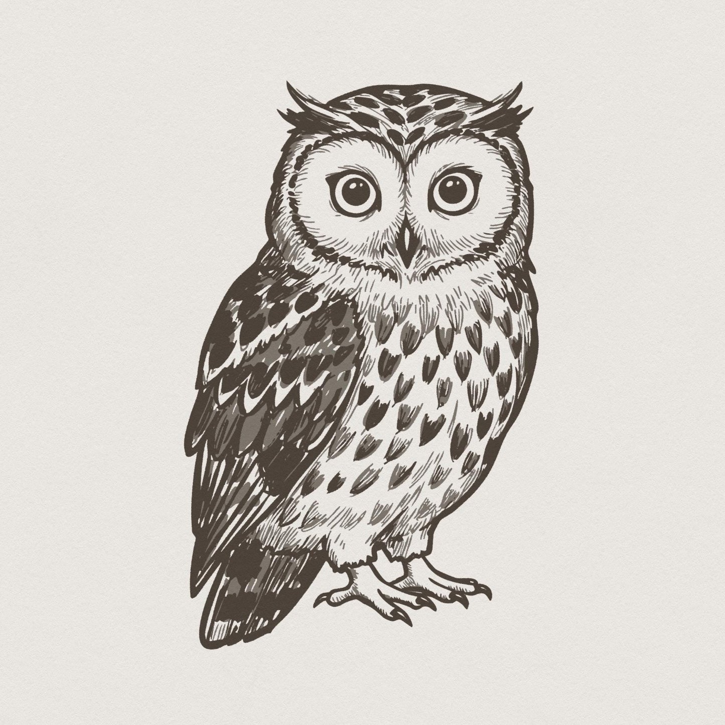Owl PNG, Digital Download for Sublimation - 300 DPI Design for T-Shirt